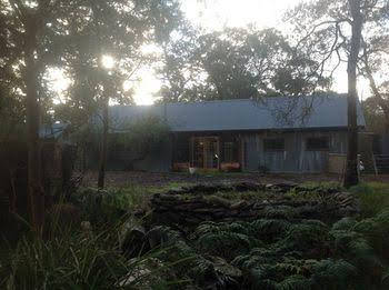 Mount Blue Eco Retreat - Holiday Find 0