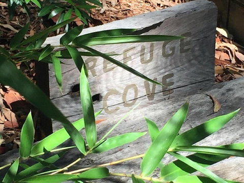 Refuge Cove On Pittwater - Holiday Find 5