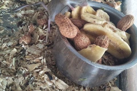 A Twist Of Willow - Holiday Find 6