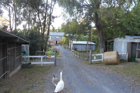 A Twist Of Willow - Holiday Find 1