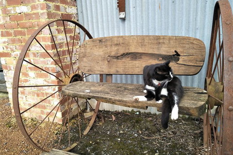 A Twist Of Willow - Holiday Find 7