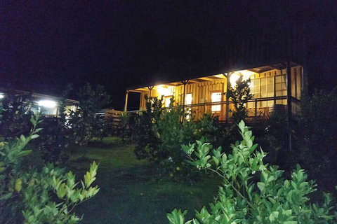 A Twist Of Willow - Holiday Find 4