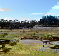 Pelican Point Sanctuary - Holiday Find