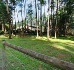 Fernglade on Menzies - Holiday Find