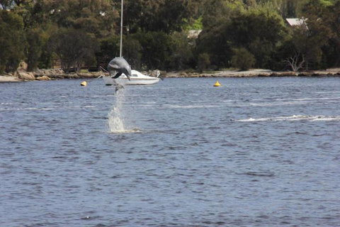 Tani Hill - Holiday Find 1