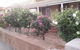 My Nanna's Place - thumb 5