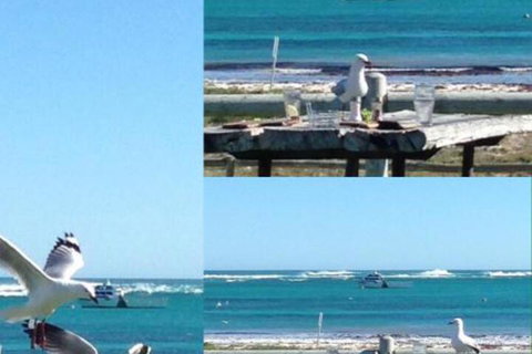 Lous Place - Holiday Find 6