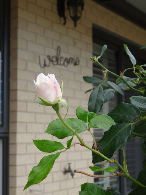 The Oxley Estate - Holiday Find 2