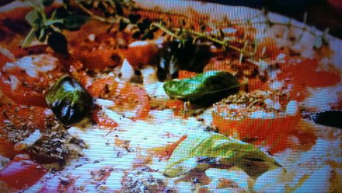 Alfio's Pizzeria - Holiday Find 0