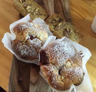 The Backyard - Holiday Find