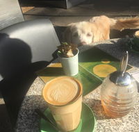 Espresso Koo - Holiday Find