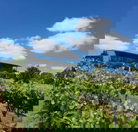 Traralgon Vineyard - Holiday Find