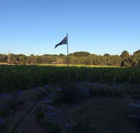 Lazzar Wines - Holiday Find