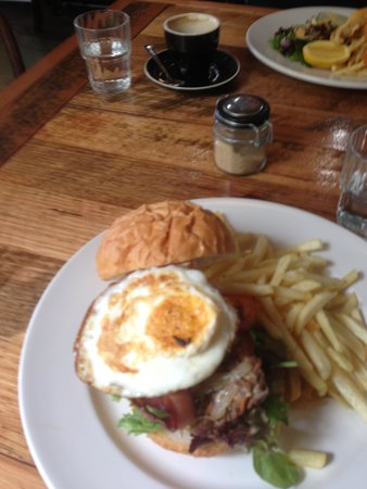 Vela 9 - Holiday Find 0