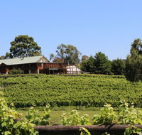 djinta djinta Winery - Holiday Find