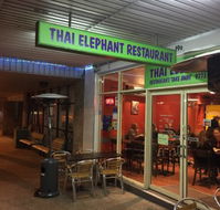 Thai Elephant - Holiday Find
