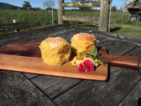 Greendale's Cafe And Restaurant - Holiday Find 0