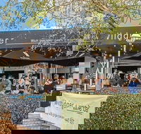 Wild Ginger - Holiday Find