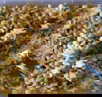 Addil Indian  Kebab Restaurant - Holiday Find