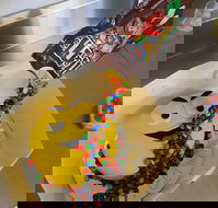 Cox's Bakery - Holiday Find