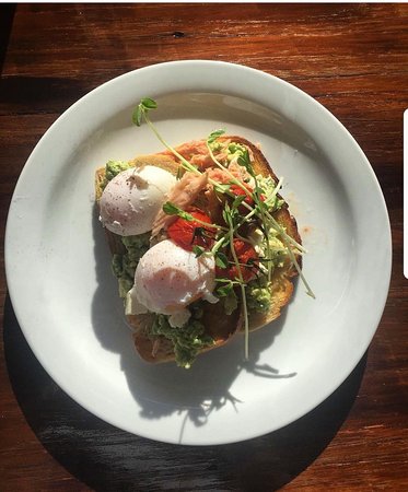 The Coffee Pedaler - Holiday Find 0