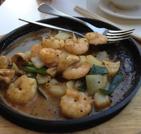 Bambusa - Holiday Find