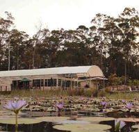 Abundance Cafe and Garden Centre - Holiday Find