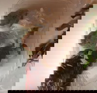 Dai Nam Cafe  Restaurant - Holiday Find