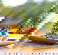 Hello Harry - Ascot  Hamilton - Holiday Find