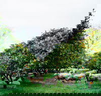 Cambray Cheese Farm Shop - Holiday Find