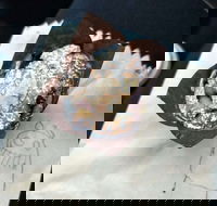 8th Nerve Cafe - Holiday Find