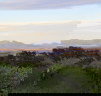 Castle Rock Estate Winery - Holiday Find