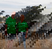 Milawa Organic Beef - Holiday Find