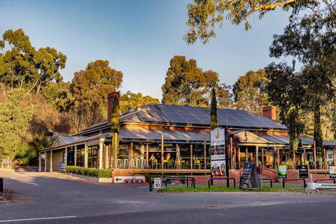 The Duck - Holiday Find 0