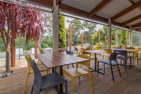 The Duck - Holiday Find 1