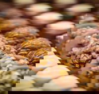 Koko Black - Carlton - Holiday Find