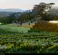 Granite Hills Winery - Holiday Find