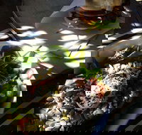 Good Cartel - Holiday Find