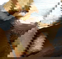 Kunara Organic Cafe - Holiday Find