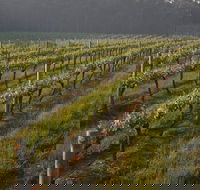 Cape Grace Wines - Holiday Find