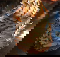 Mocha Bella - Holiday Find