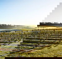 Wine Terrace and Cellar Door at Pt Leo Estate
