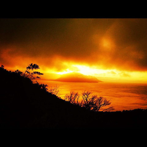 Zephyr - Holiday Find 0