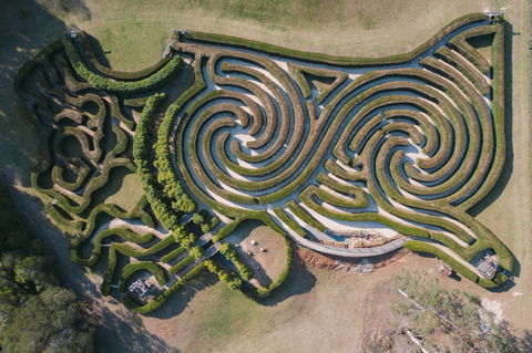 Bago Maze And Wine - Holiday Find 0