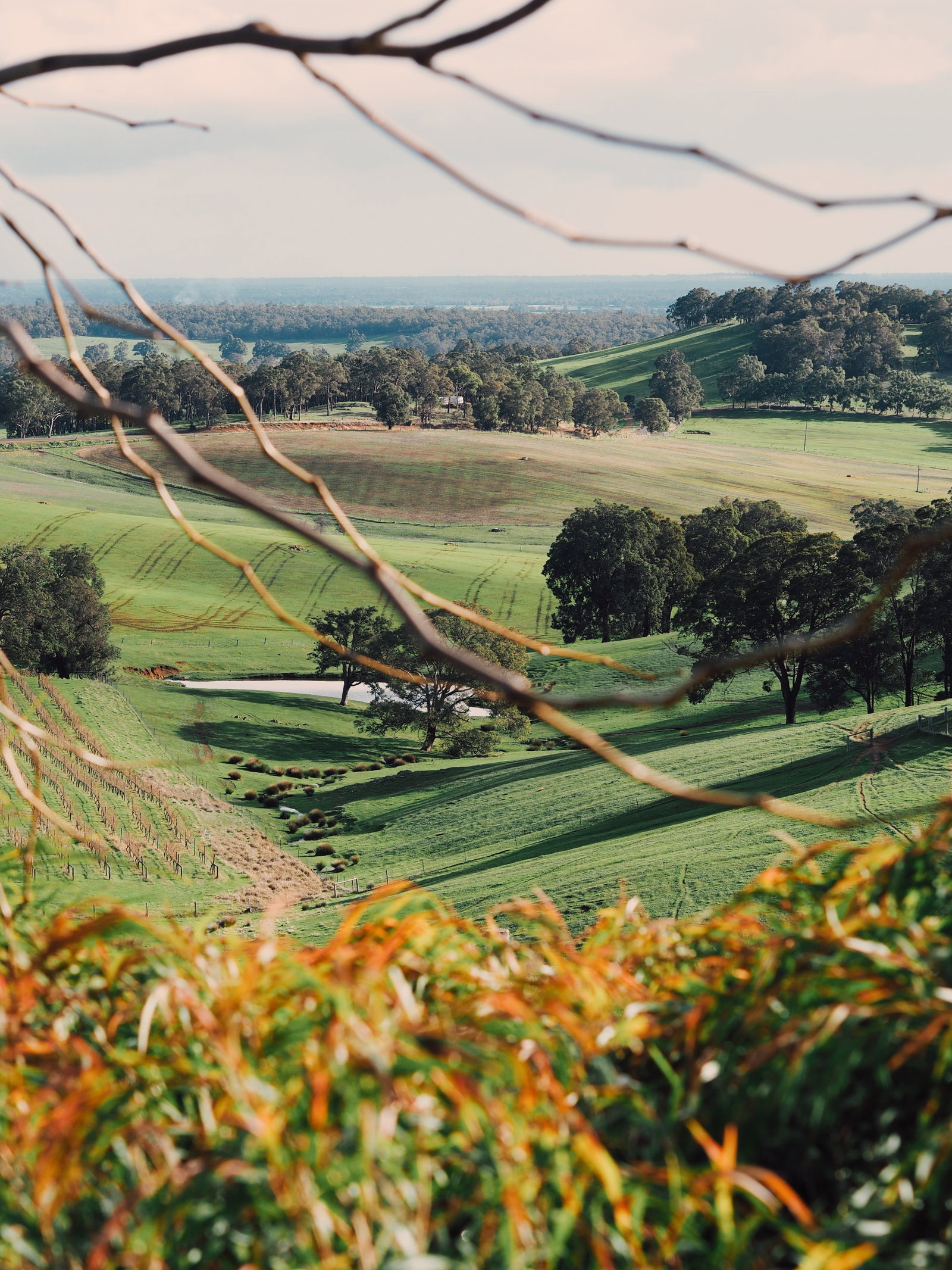 Wellington Forest WA Holiday Find