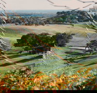 Green Door Winery Cellar Door - Holiday Find