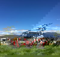 Red Feet Wines - Holiday Find