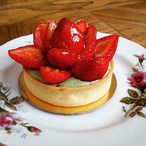 Stepping Stone - Holiday Find 0