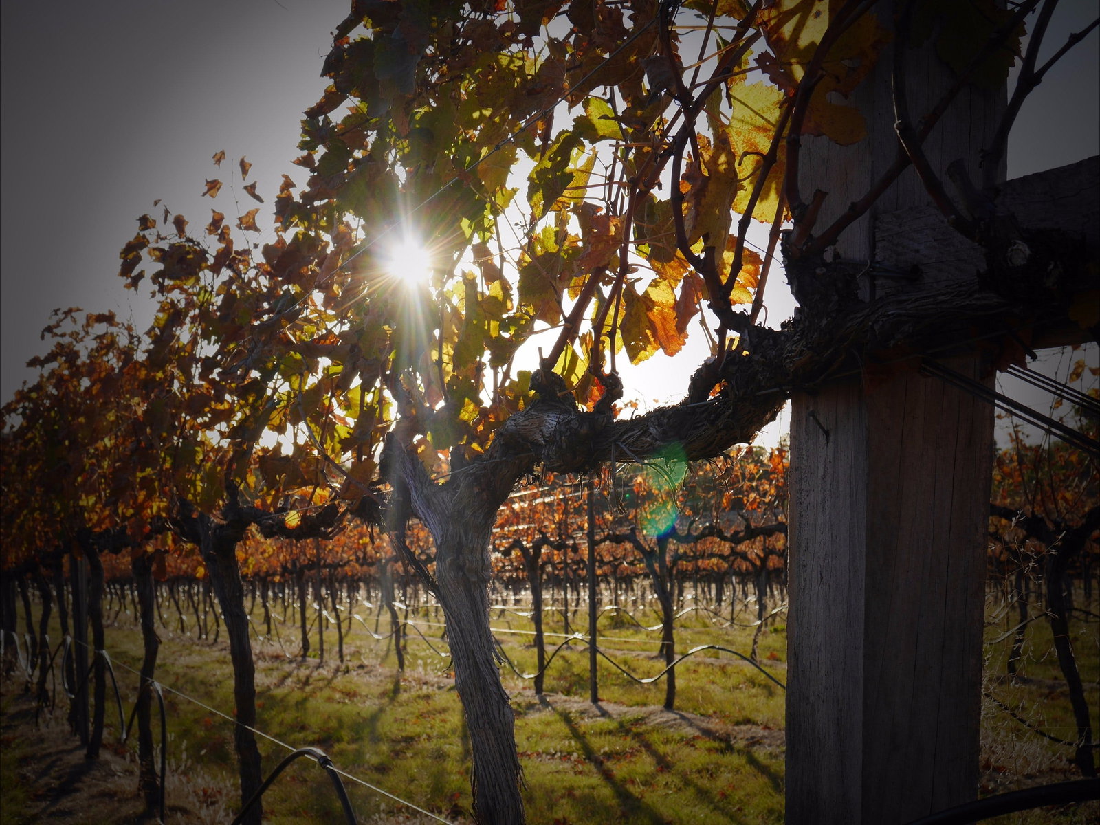 Wyberba QLD Holiday Find