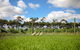 Pierrepoint Wines Cellar Door - thumb 1